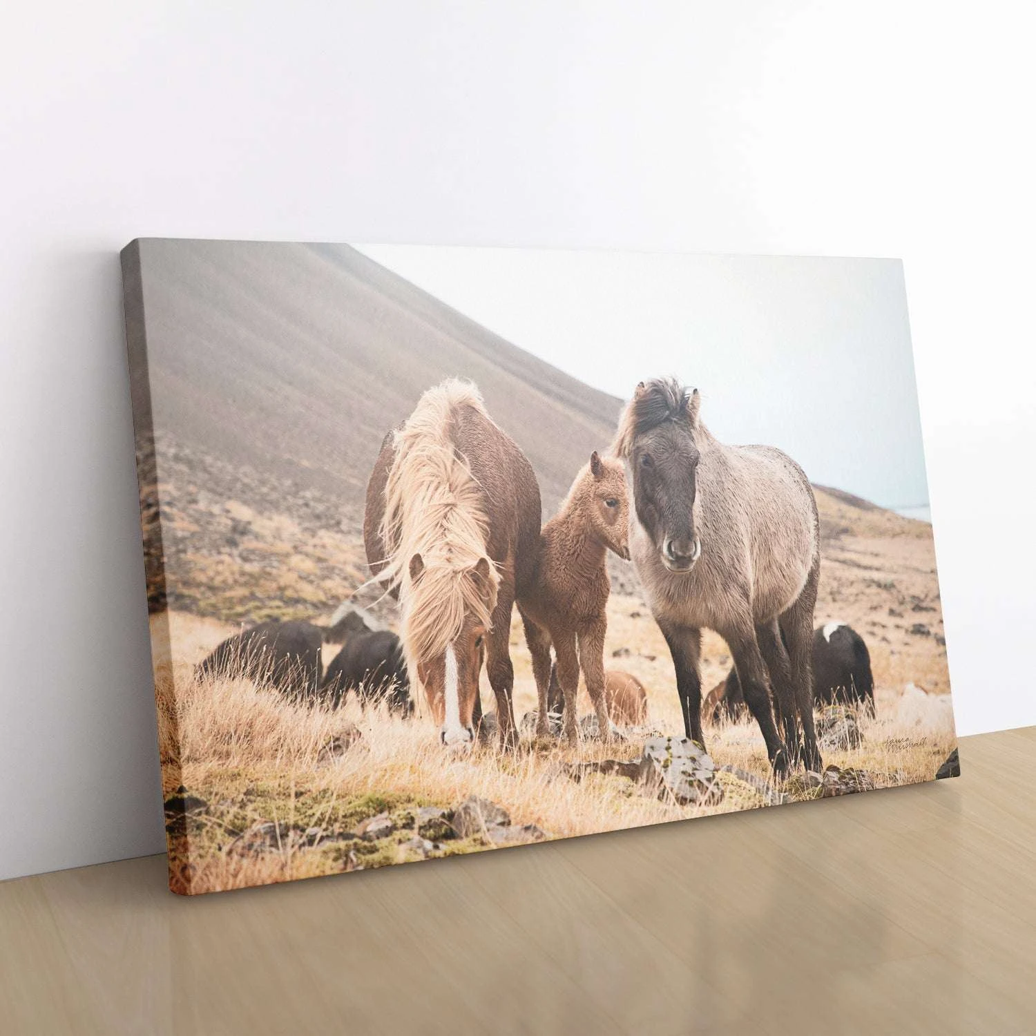 Horses Of Hofn I - Image 3