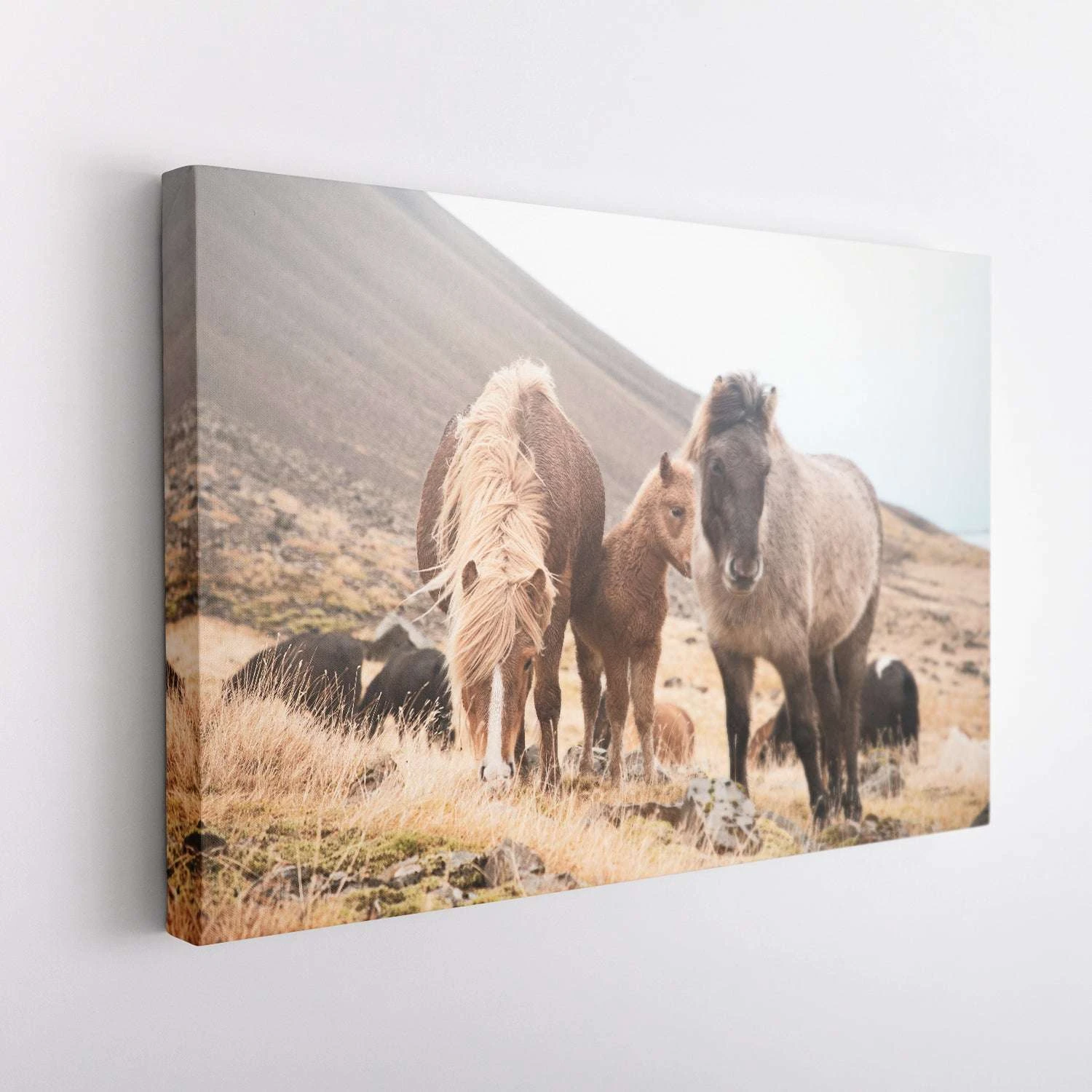 Horses Of Hofn I - Image 5