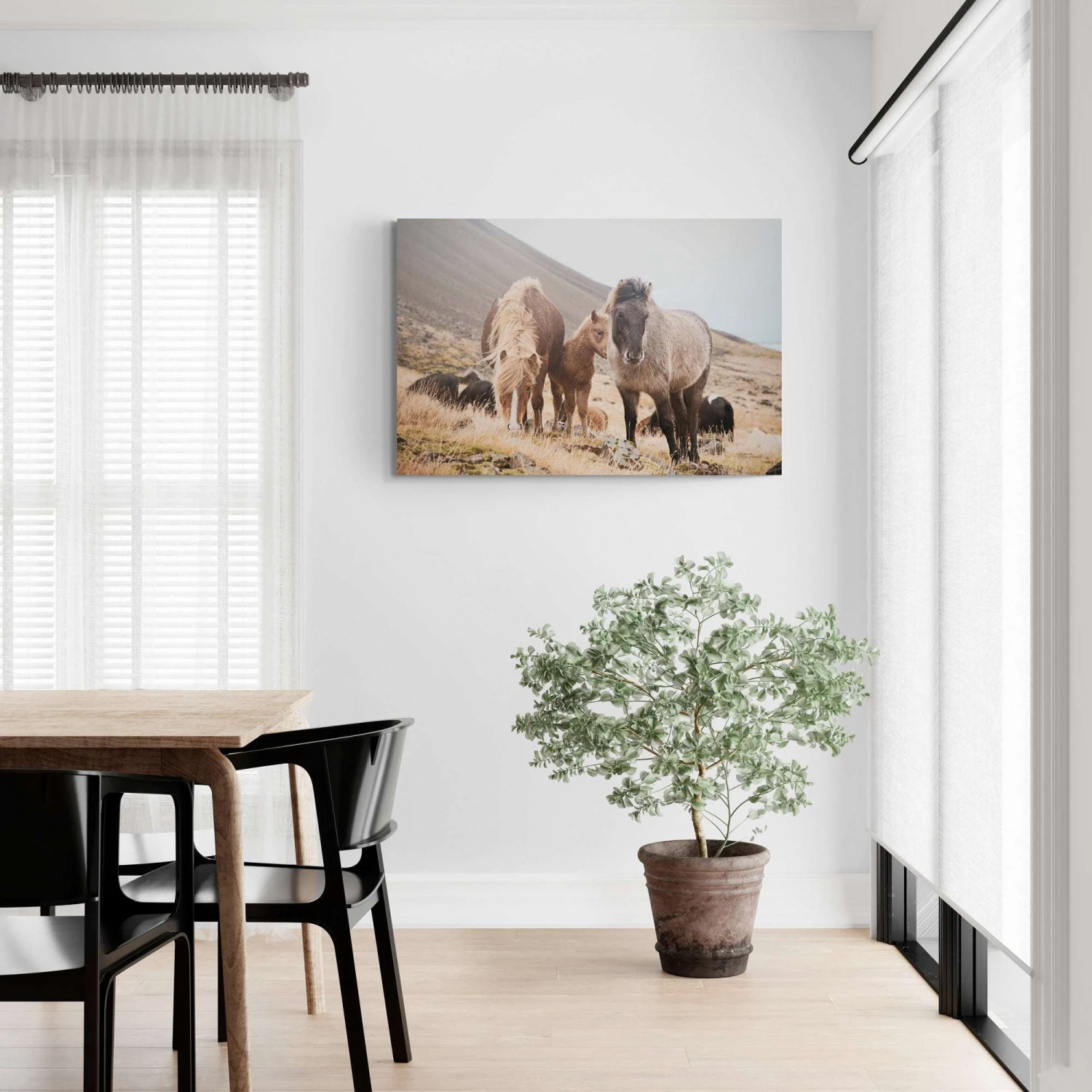 Horses Of Hofn I - Image 2