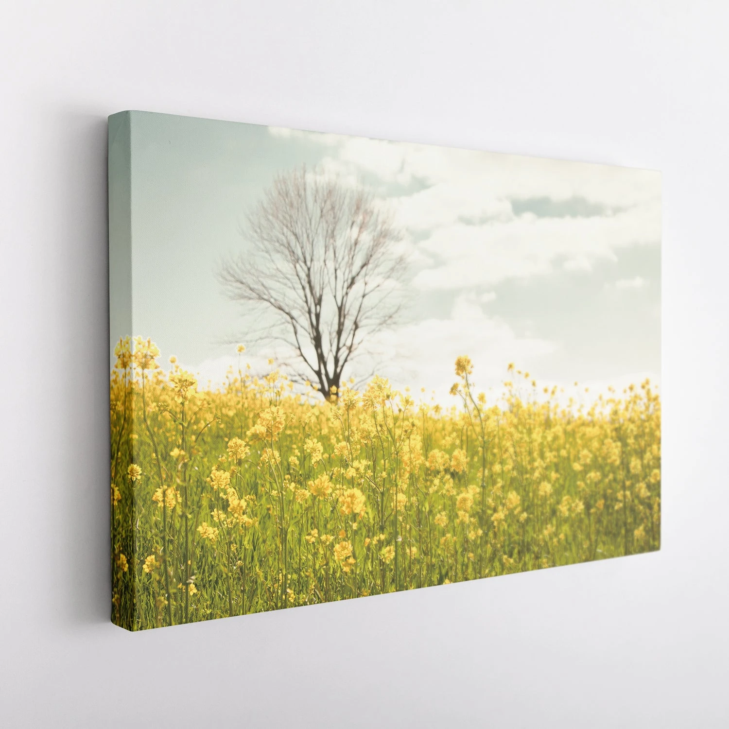 Yellow Meadow - Image 5