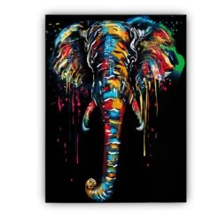 Abstract Elephant