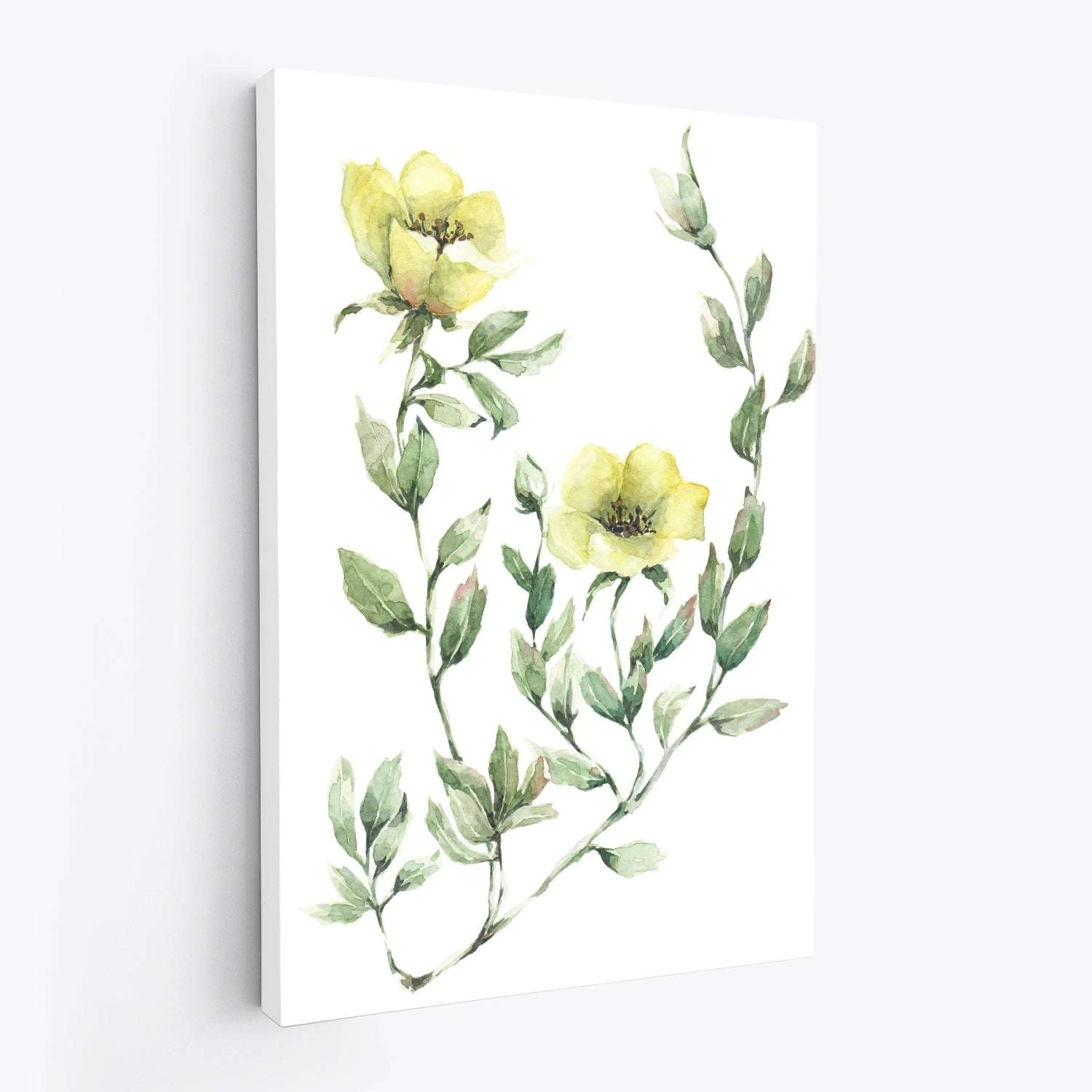 Genus Rosa No 1 - Image 3