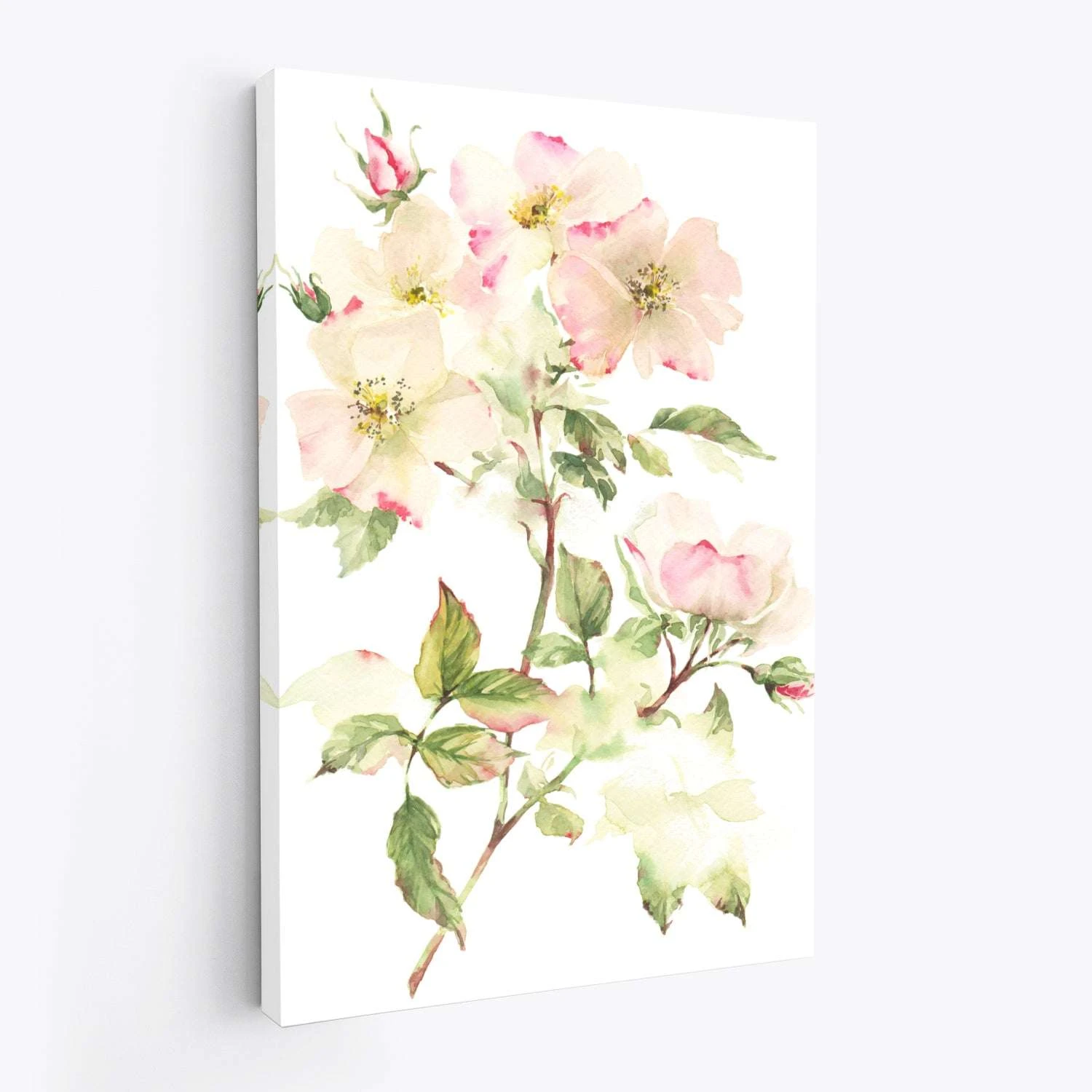 Genus Rosa No 4 - Image 4