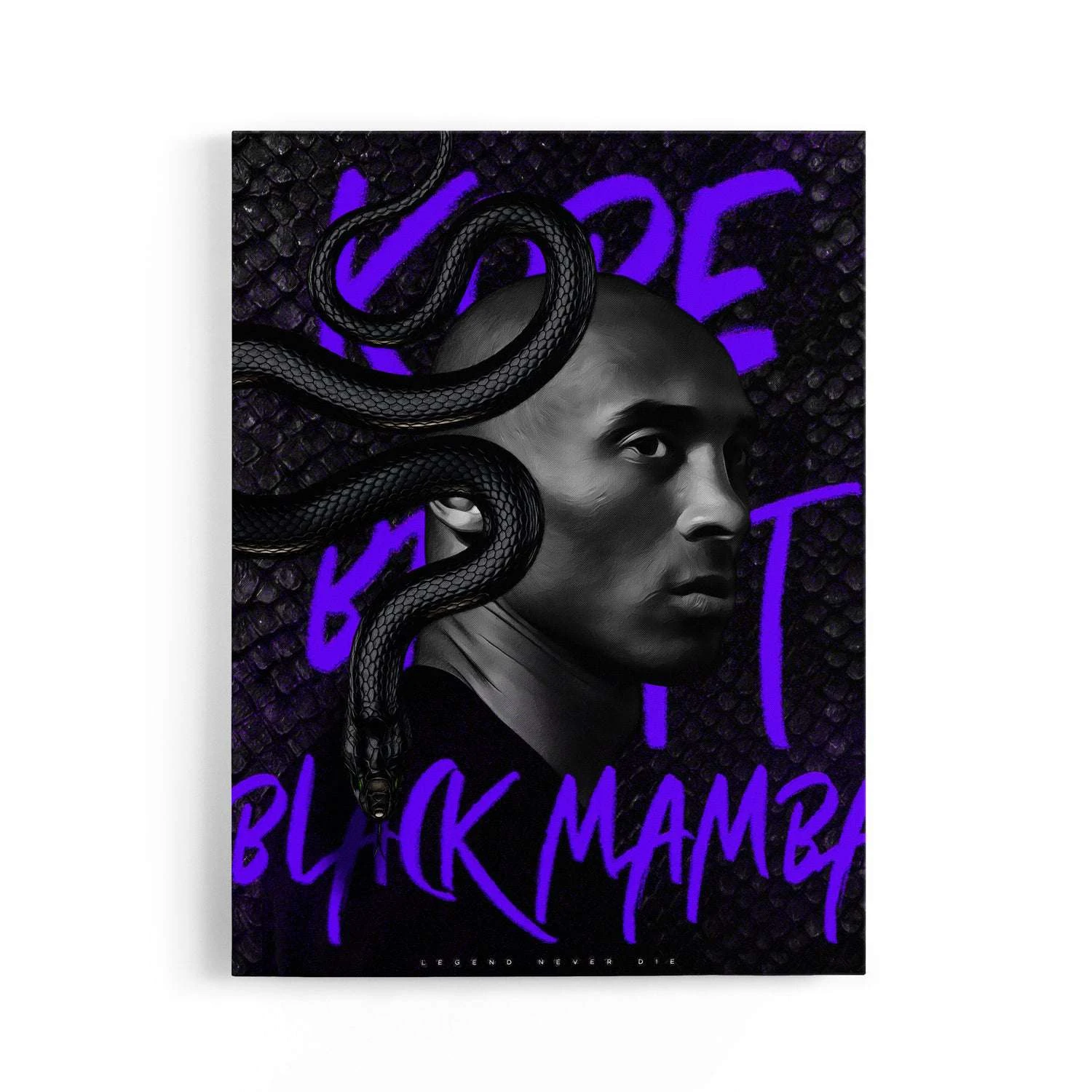 Legends Of Basketball - Image 5