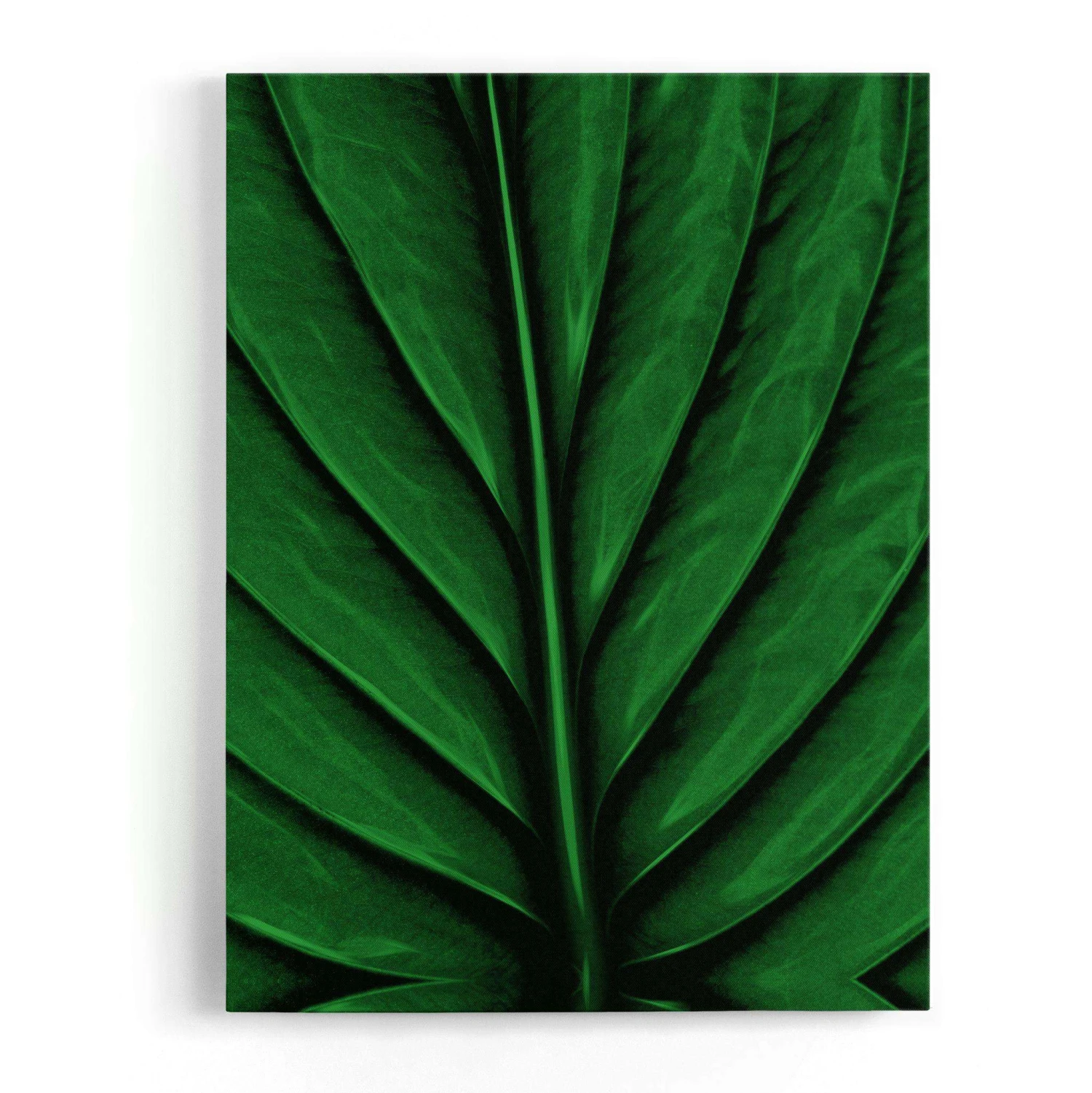A Leaf
