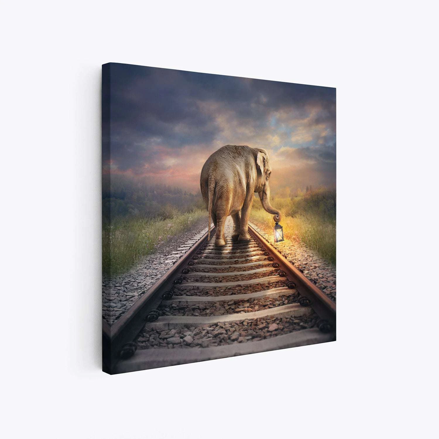 Leading Light - Image 5