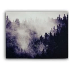 Misty Forest II