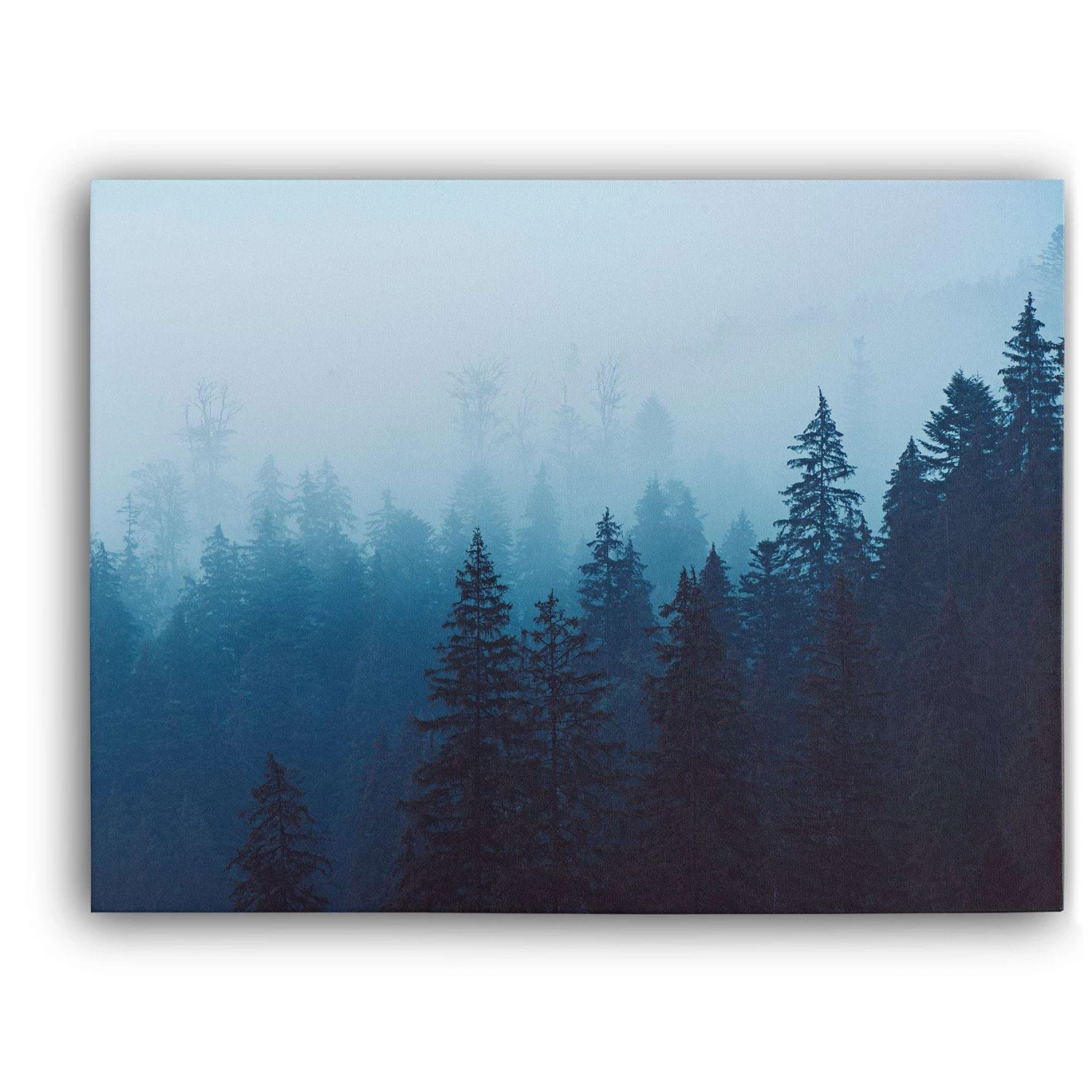 Misty Forest I