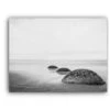 Moeraki Boulders Black & WHite