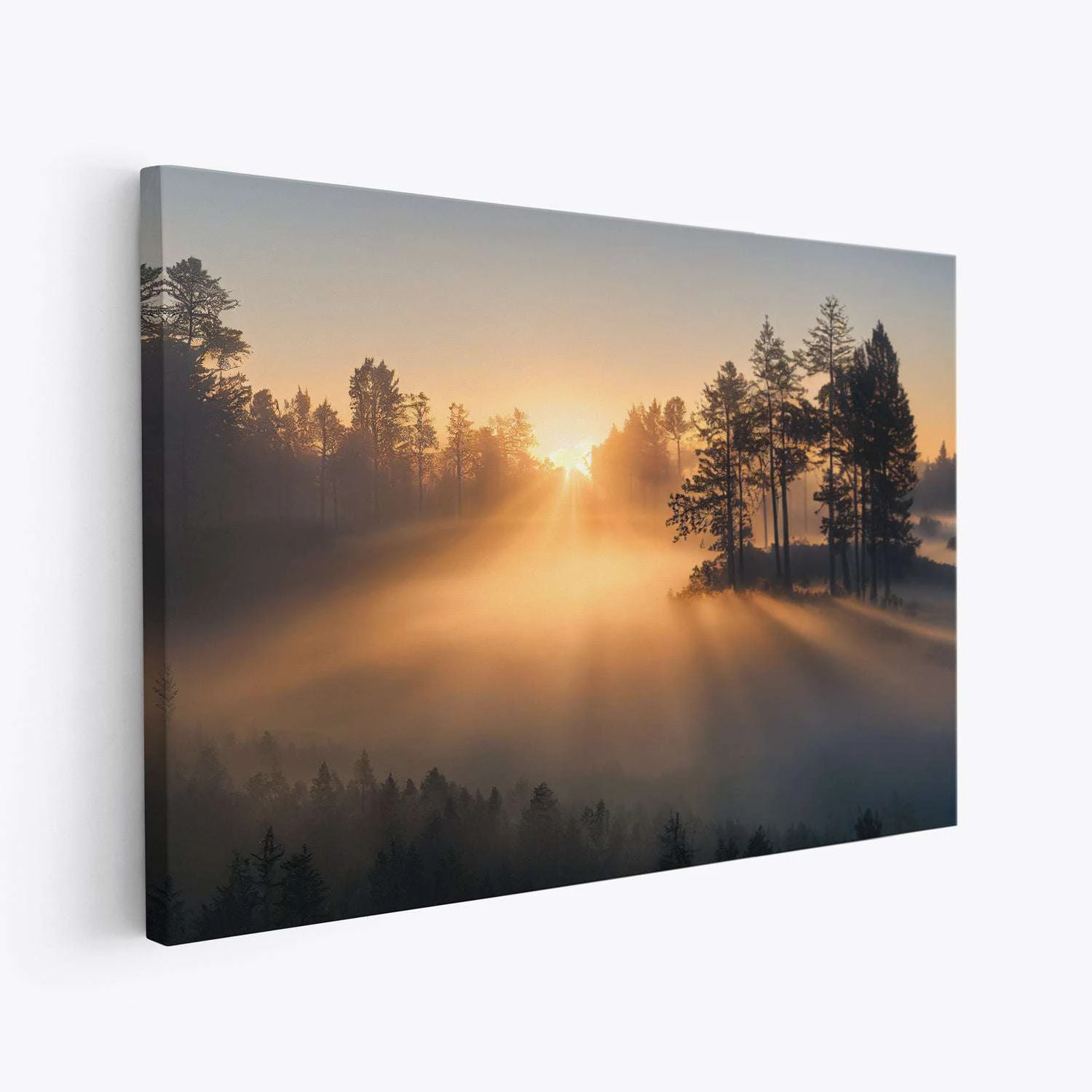 The Morning Sunrise - Image 4