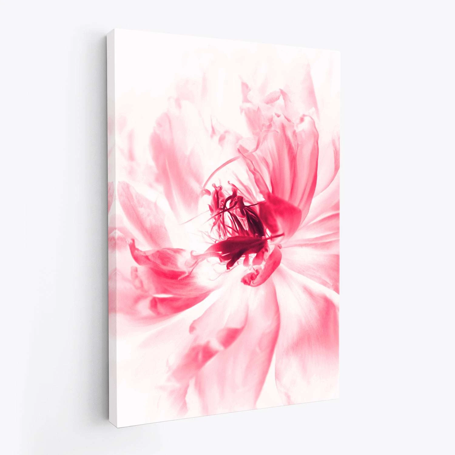 Pink Peony - Image 5