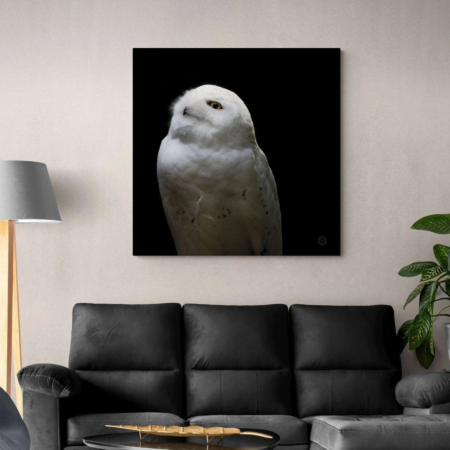 Snowy Owl Looking Into The Sun - Image 2