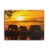 Sunset Elephants