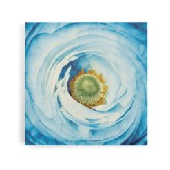 White Peony With Blue