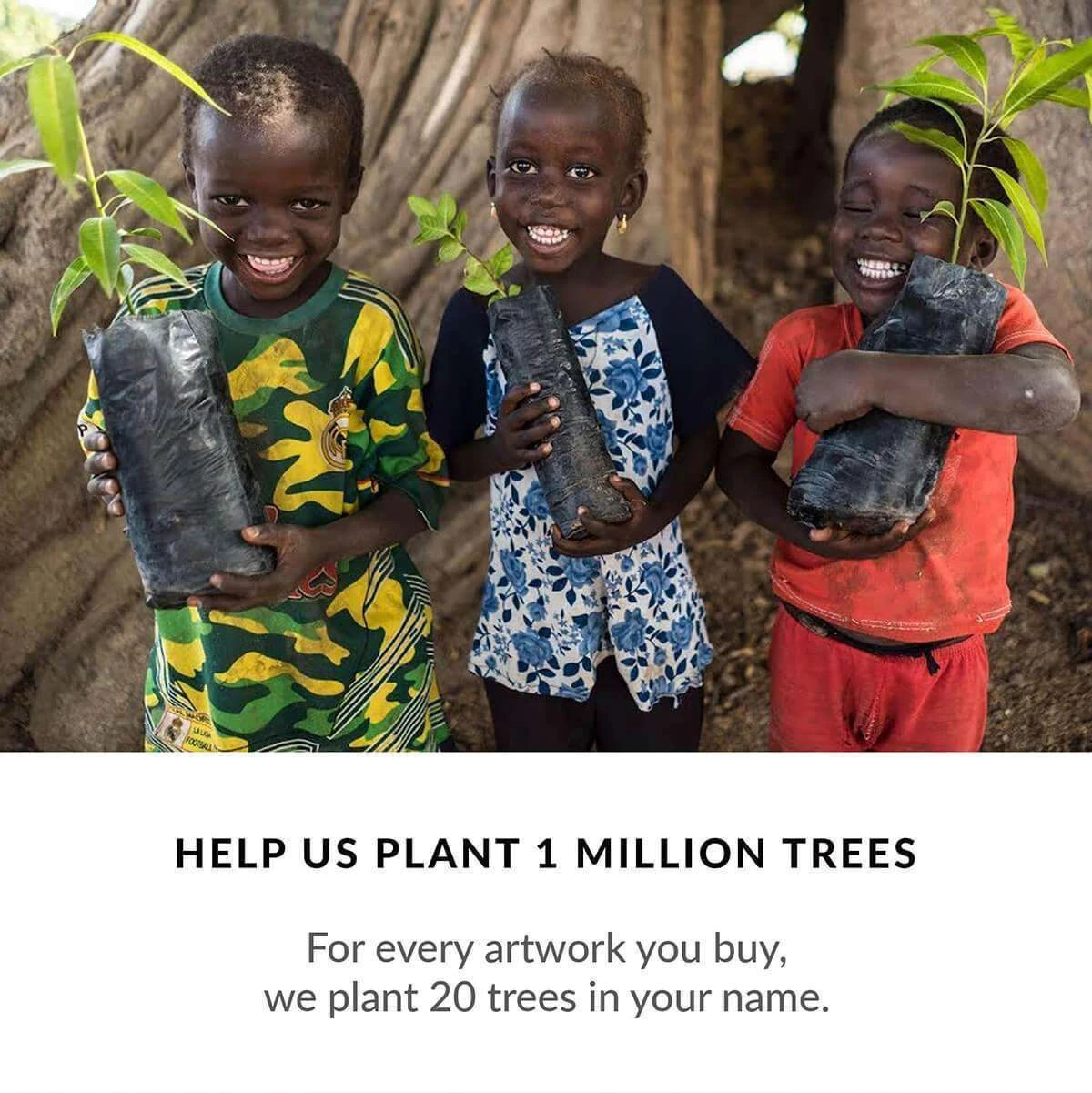 Restore Eucalyptus I - Image 6