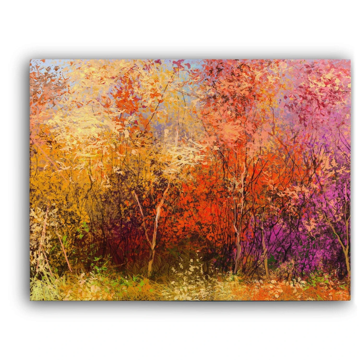 Colourful Autumn Trees